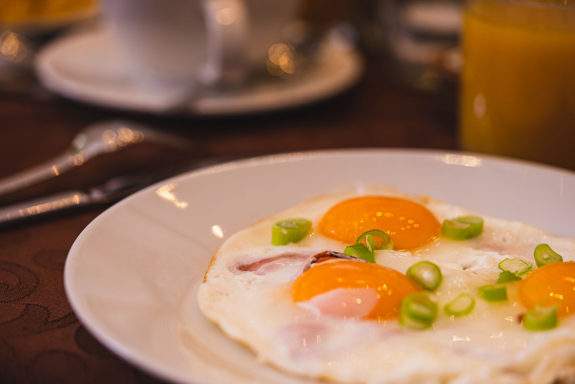 MIMOSEZÓNNÍ OTEVÍRACÍ DOBA RESTAURACE